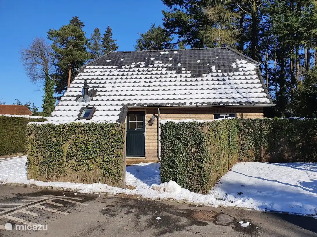 El Veluwe también es hermoso en invierno.