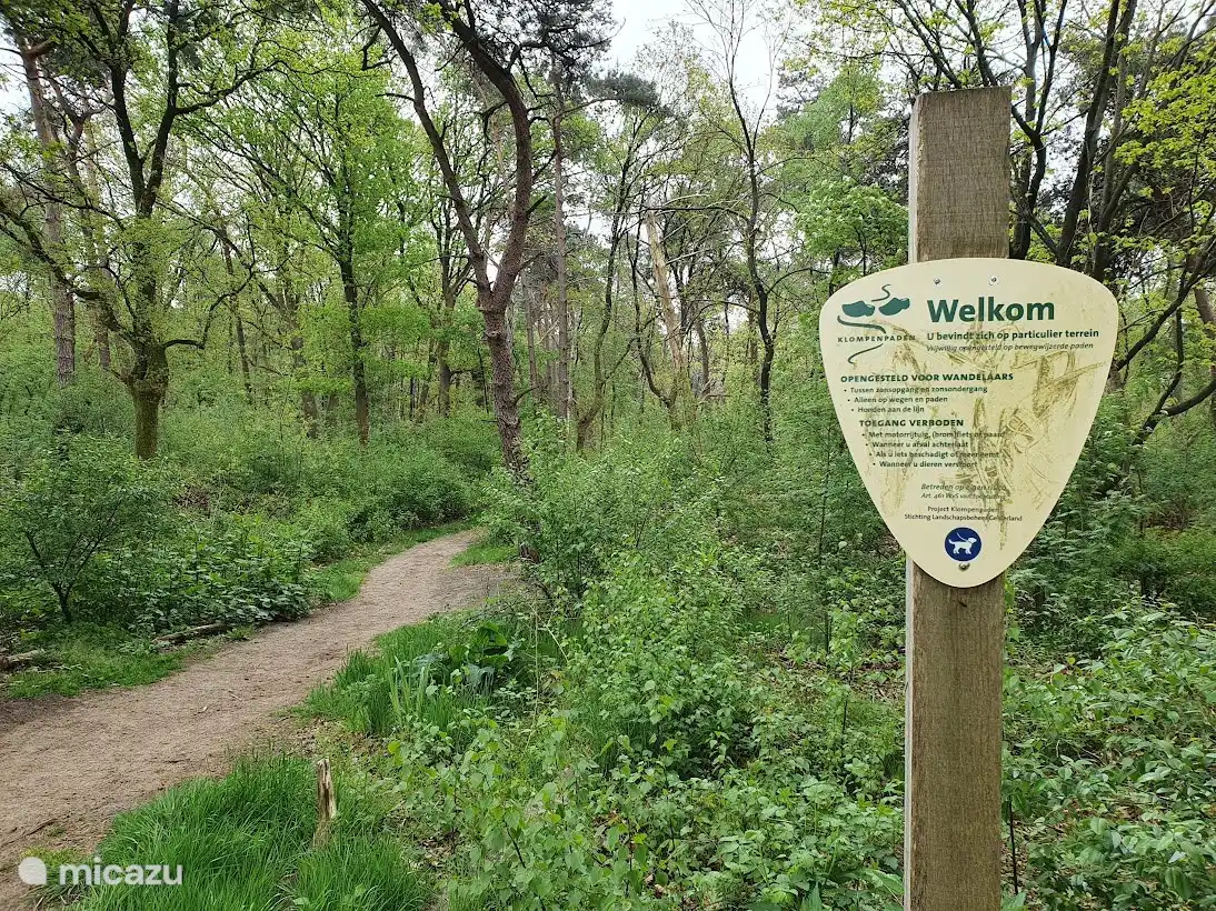 Desde la salida para peatones del parque, entra directamente en el camino del atasco.