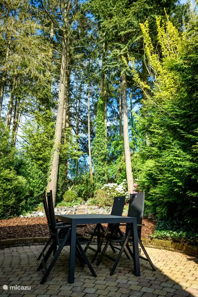 El patio trasero protegido con terraza.