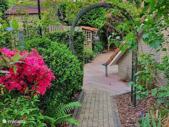 Maison de vacances Louise | Pays-Bas, Gueldre, Lunteren - bungalow Le jardin d'été