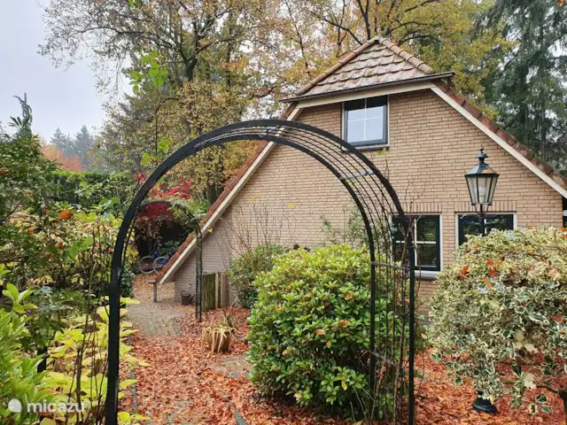 Maison de vacances Louise | Pays-Bas, Gueldre, Lunteren - bungalow Automne sur De Goudsberg