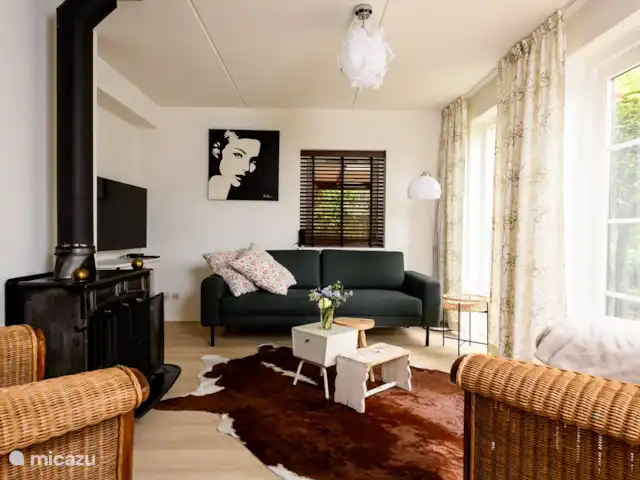 Maison de vacances Louise | Pays-Bas, Gueldre, Lunteren - bungalow Le confortable coin salon dispose d'une cheminée et offre un accès direct à la cour arrière avec la deuxième terrasse par les portes-fenêtres.