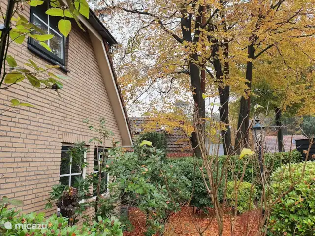 Maison de vacances Louise | Pays-Bas, Gueldre, Lunteren - bungalow Automne sur le Goudsberg