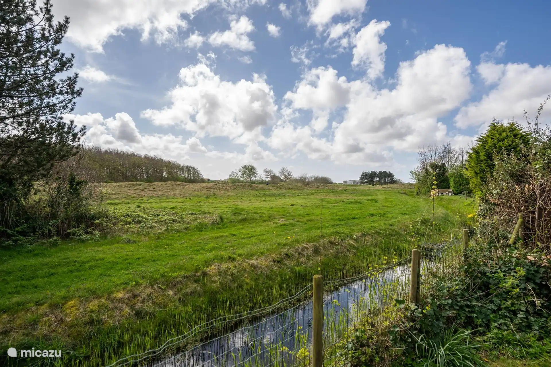 Blick von der 1. Terrasse zum Vorgarten