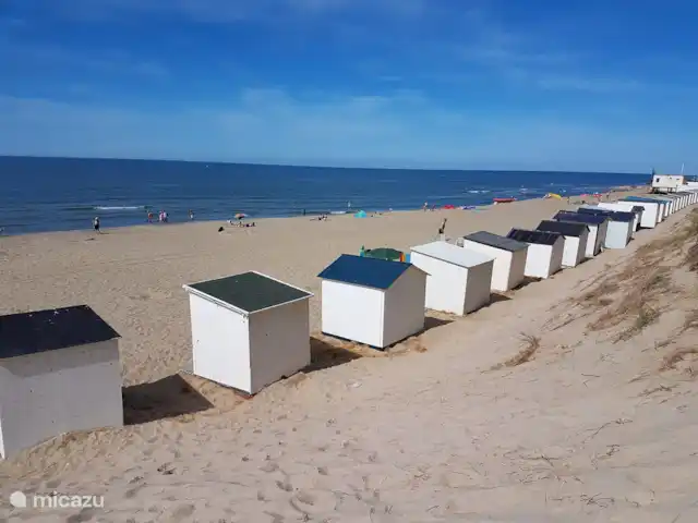 Villa de luxe Texel 8-10 pers Krim 95 | Pays-Bas, Texel, De Cocksdorp - maison de vacances Maisons de plage