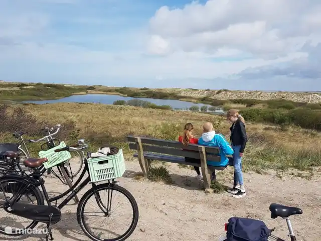 Villa de luxe Texel 8-10 pers Krim 95 | Pays-Bas, Texel, De Cocksdorp - maison de vacances Faire du vélo près du phare