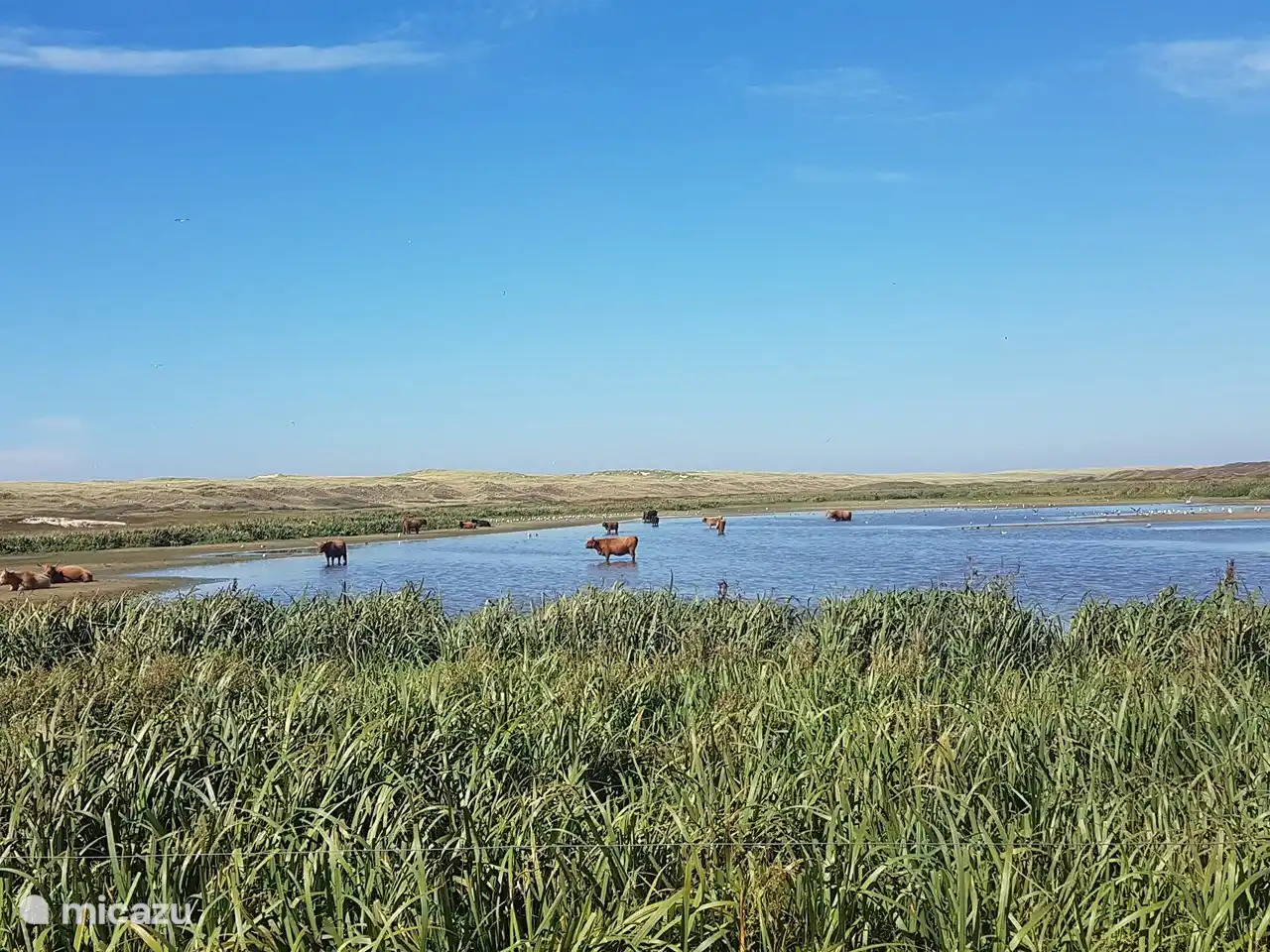 Naturschutzgebiet De Bollekamer