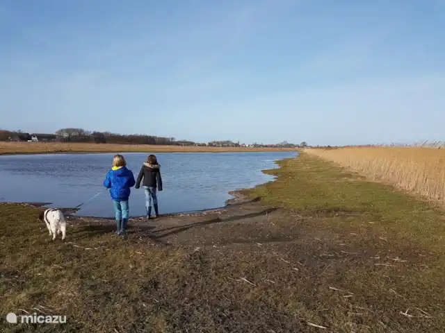 Villa de luxe Texel 8-10 pers Krim 95 | Pays-Bas, Texel, De Cocksdorp - maison de vacances Réserve naturelle de Roggesloot