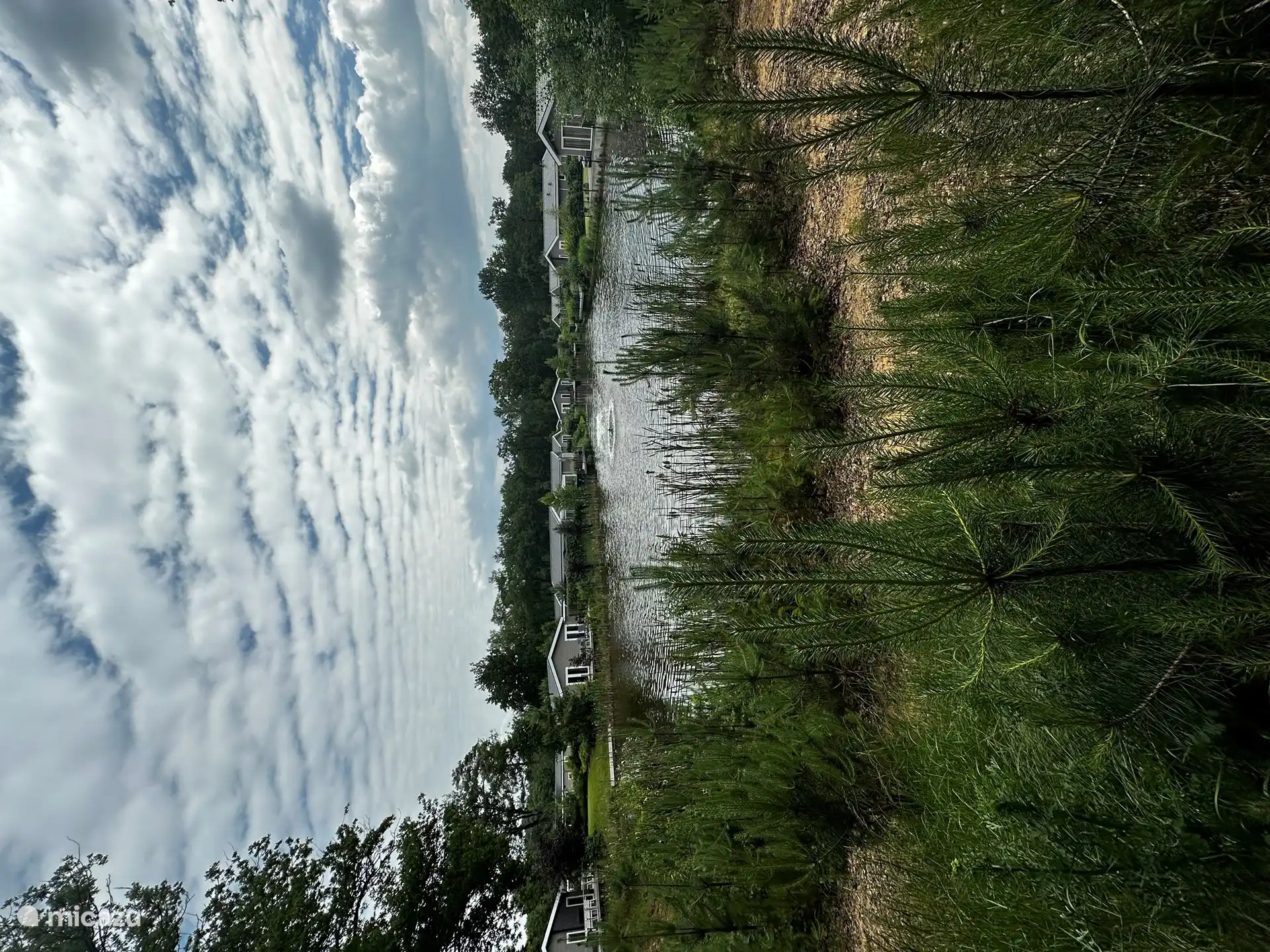Teich auf einem Teil des Parks