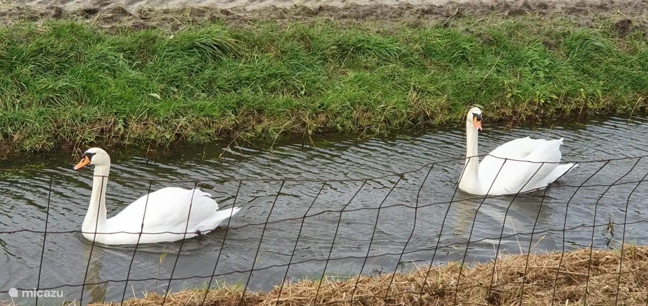 Regelmäßige Besucher