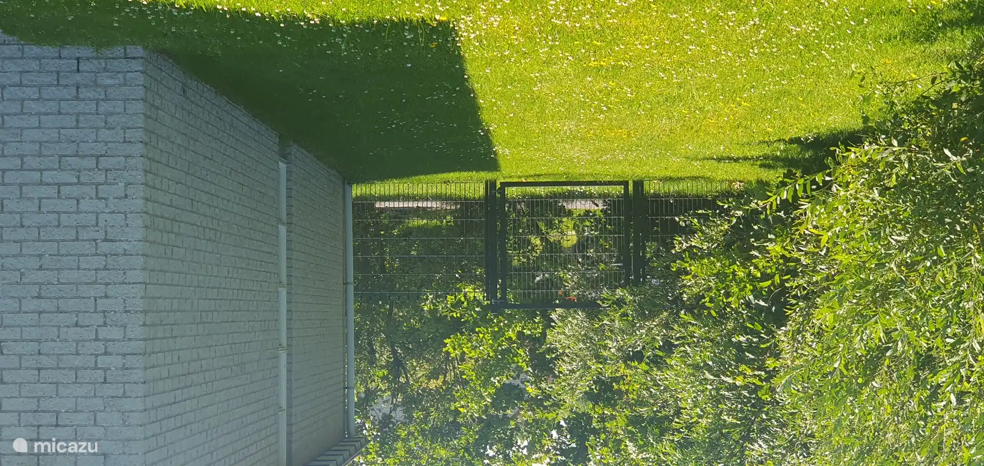 Seitengarten mit Zaun und Tor