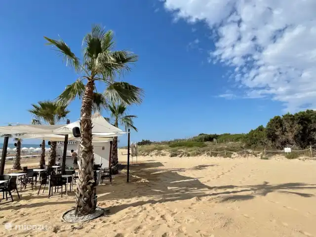 casa diana en España, Costa Blanca, Guardamar del Segura - casa vacacional Playa Playa la Roqueta a poca distancia, chiringuito abierto en los meses de verano, alquiler de sombrillas y hamacas