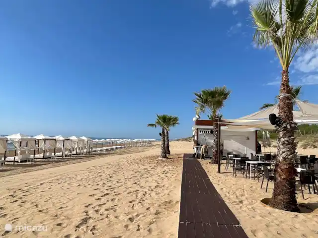 casa diana en España, Costa Blanca, Guardamar del Segura - casa vacacional Playa Playa Roqueta a poca distancia de Casa Diana. Chiringuito durante los meses de verano y alquiler de hamacas y sombrillas. En la entrada de la playa dos restaurantes con terraza.