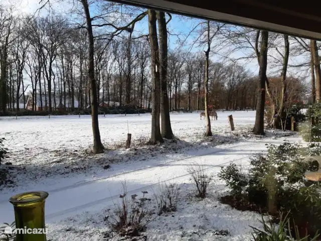 Casa de vacaciones cerca de Ootmarsum en Países Bajos, Overijssel, Nutter - casa vacacional