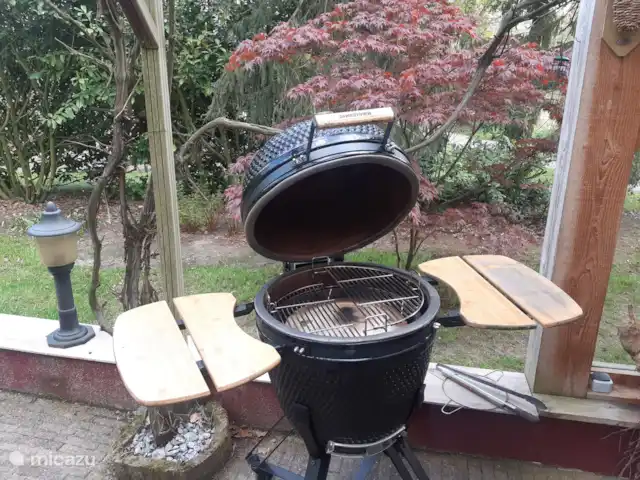 Casa de vacaciones cerca de Ootmarsum en Países Bajos, Overijssel, Nutter - casa vacacional