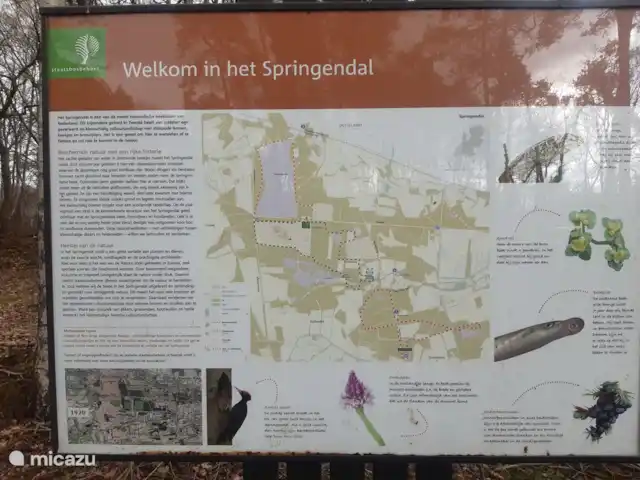 Casa de vacaciones cerca de Ootmarsum en Países Bajos, Overijssel, Nutter - casa vacacional