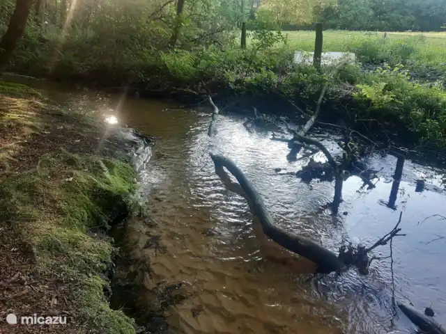 Casa de vacaciones cerca de Ootmarsum en Países Bajos, Overijssel, Nutter - casa vacacional