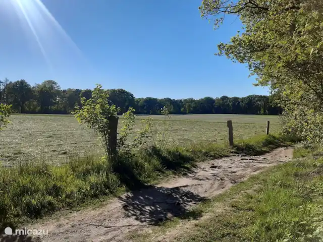 Casa de vacaciones cerca de Ootmarsum en Países Bajos, Overijssel, Nutter - casa vacacional