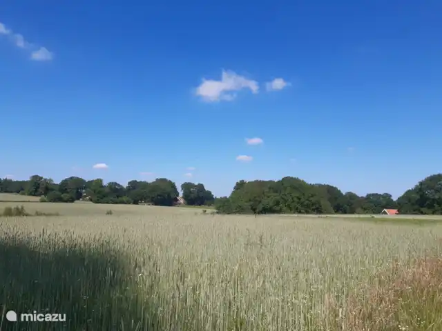 Casa de vacaciones cerca de Ootmarsum en Países Bajos, Overijssel, Nutter - casa vacacional
