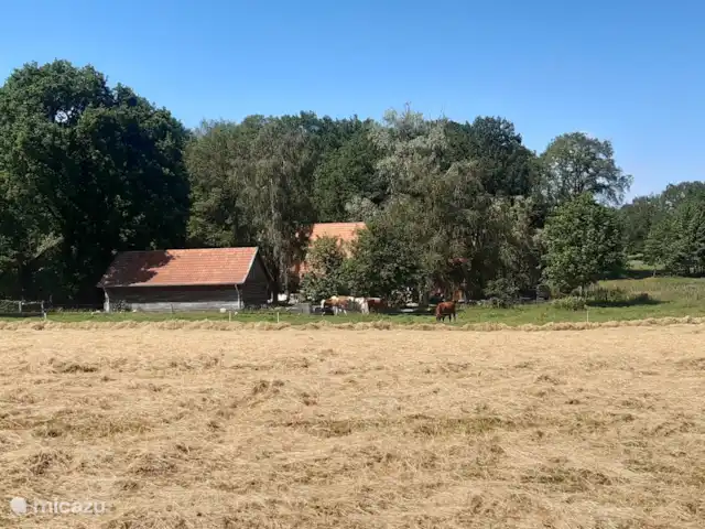 Casa de vacaciones cerca de Ootmarsum en Países Bajos, Overijssel, Nutter - casa vacacional