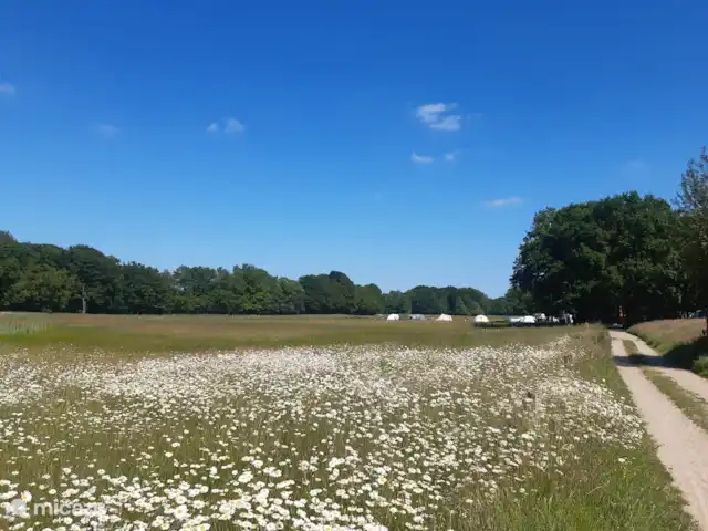 Casa de vacaciones cerca de Ootmarsum en Países Bajos, Overijssel, Nutter - casa vacacional