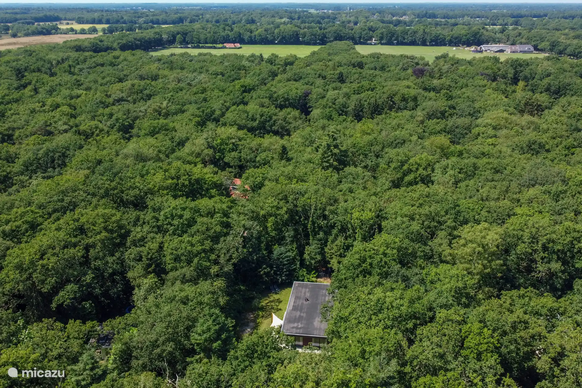 Umgeben von viel Grün um Sie herum