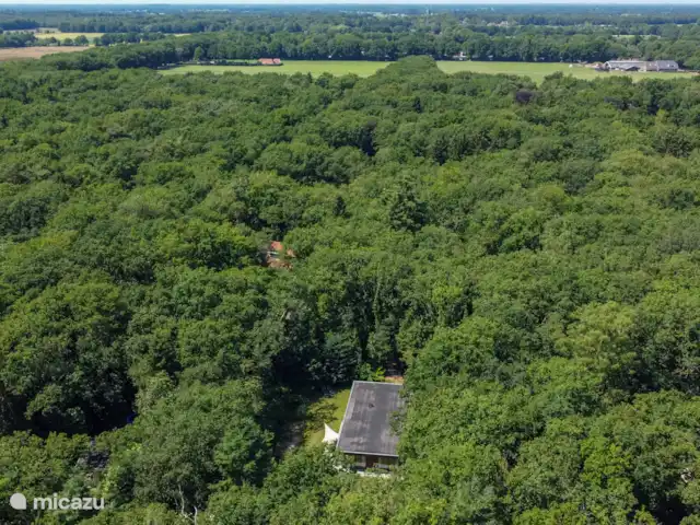 Bosvilla de Merel, unieke lokatie    huren in Nederland, Drenthe, Wateren - villa Overal om je heen heerlijk in het groen