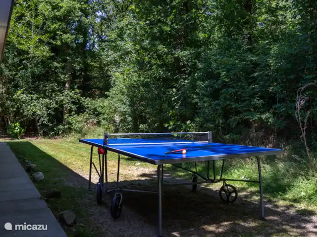 Bosvilla de Merel, unieke lokatie    huren in Nederland, Drenthe, Wateren - villa Pingpong tafel aanwezig