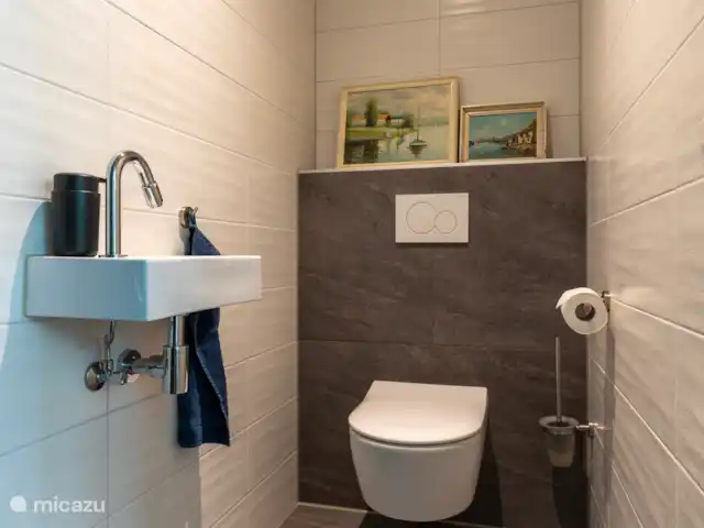 Bosvilla de Merel, unieke lokatie    huren in Nederland, Drenthe, Wateren - villa 1e toilet