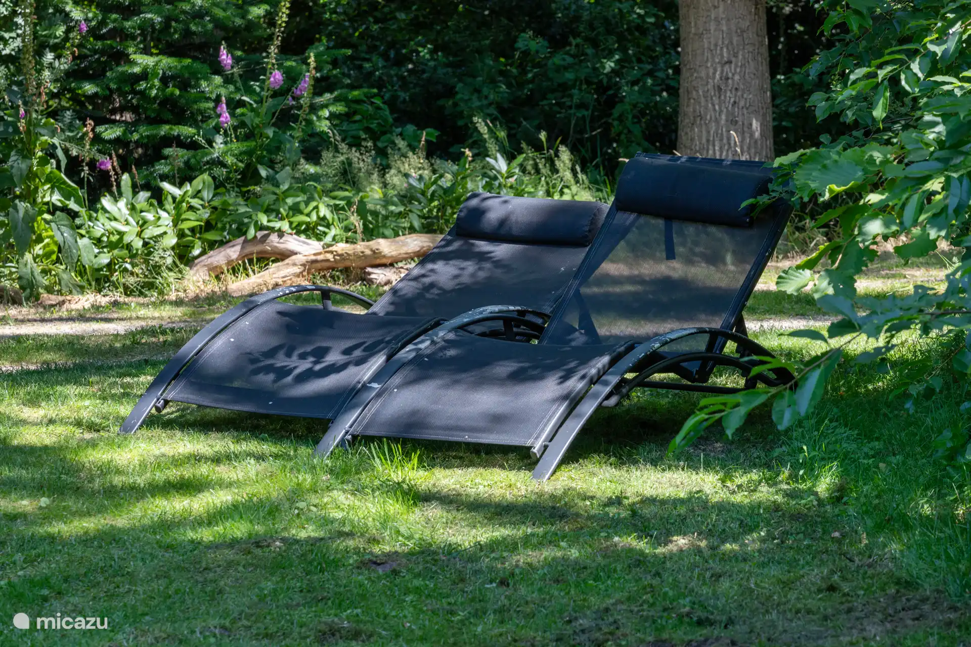 Umgeben von viel Grün um Sie herum