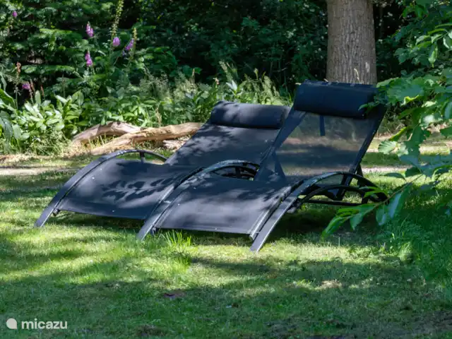 Bosvilla de Merel, unieke lokatie    huren in Nederland, Drenthe, Wateren - villa Overal om je heen heerlijk in het groen