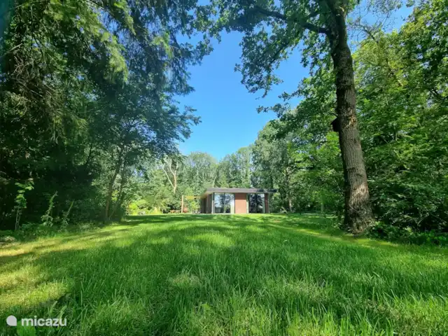 Bosvilla de Merel, unieke lokatie    huren in Nederland, Drenthe, Wateren - villa Onze tuin