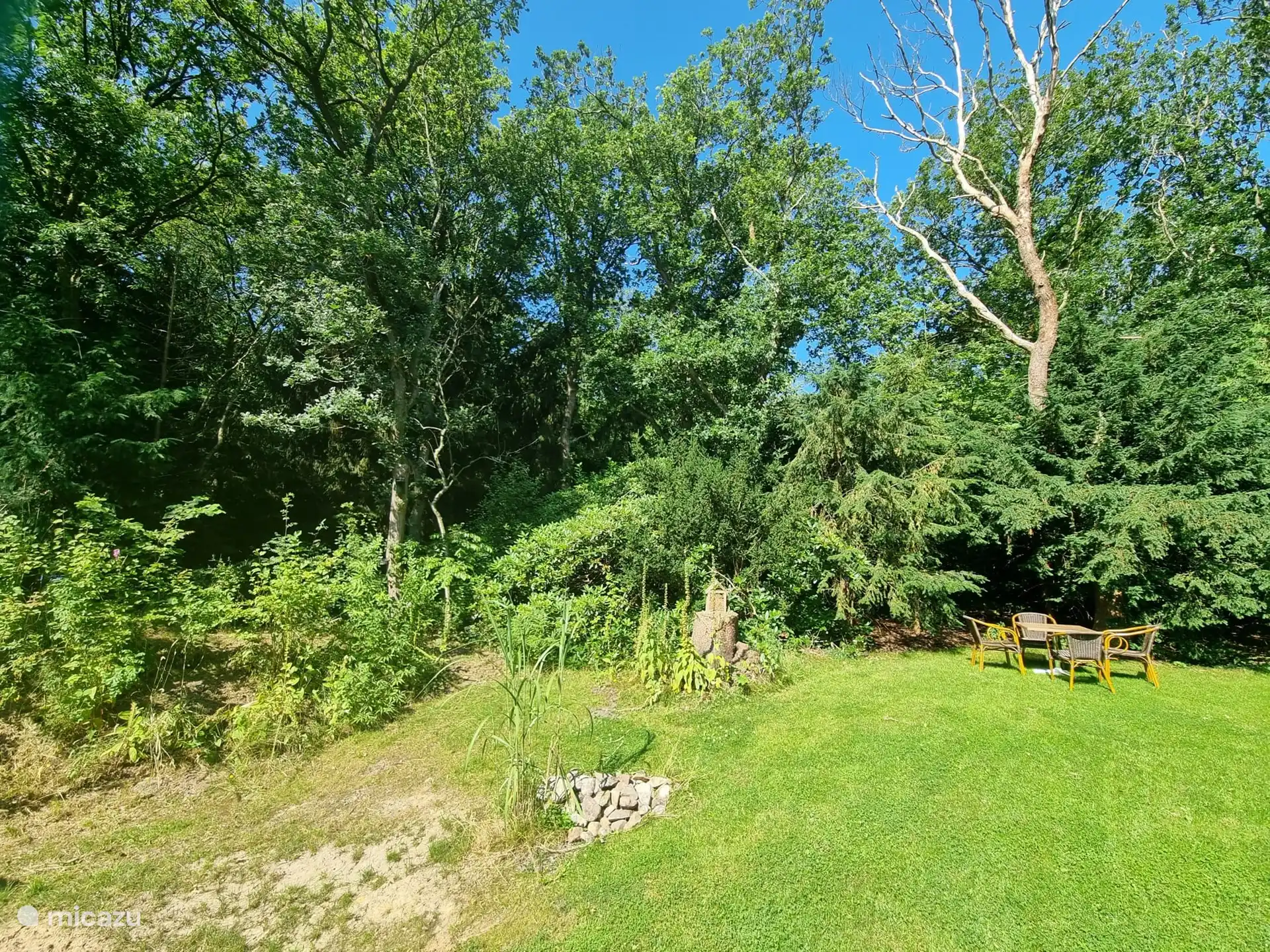 Blick in den Garten hinter unserem Haus