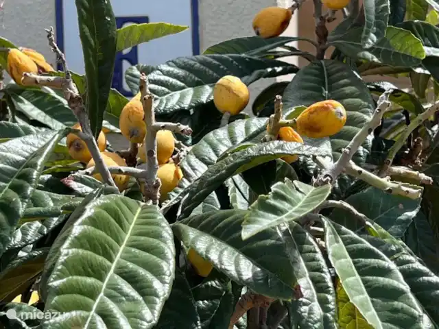 Bermudas Playa 37 en España, Costa del Sol, Estepona - apartamento jardín