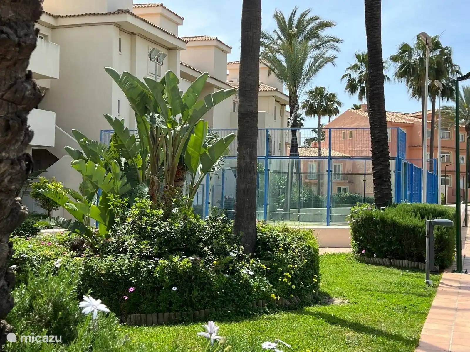 Terrain de padel disponible