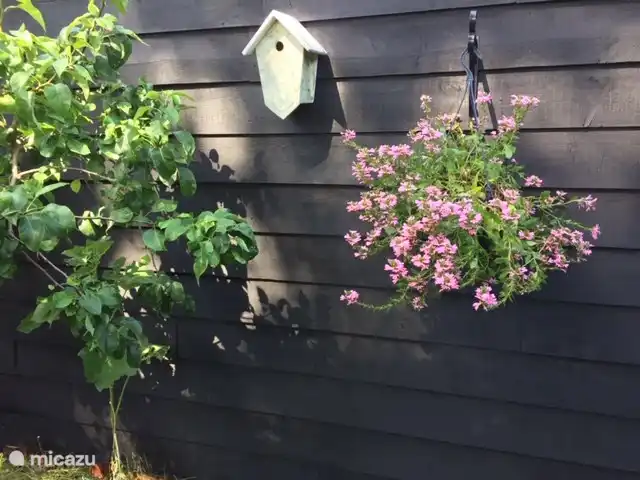 Maison de vacances Friese Heerlijkheid | Pays-Bas, Frise, Leeuwarden - maison de vacances Jardin