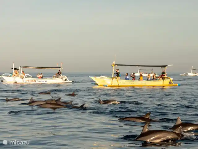 Villa Ibiza @ Bali | Indonésie, Bali, Lovina - villa Tour des dauphins le matin