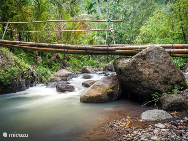 Villa Ibiza @ Bali | Indonésie, Bali, Lovina - villa Randonnée dans la plus belle nature