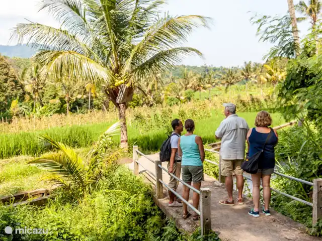 Villa Ibiza @ Bali | Indonésie, Bali, Lovina - villa Marche avec un guide à travers les rizières (avec déjeuner ensuite !)