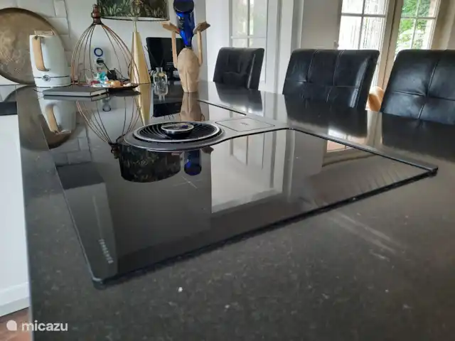 Aaltjes Hoeve | Pays-Bas, Gueldre, Ermelo - maison de vacances La cuisine est équipée d'une plaque à induction.