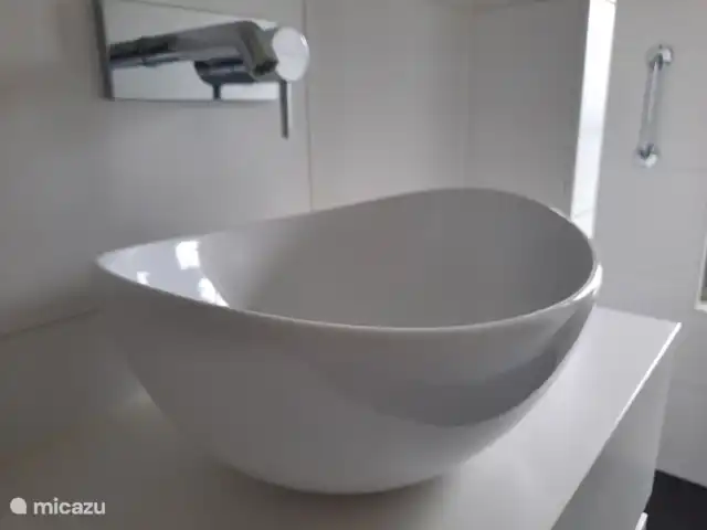 Aaltjes Hoeve | Pays-Bas, Gueldre, Ermelo - maison de vacances La salle de bain avec meuble vasque et sèche-cheveux