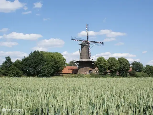 Location de Vacances Pays-Bas, Limbourg, Stevensweert, maison de vacances - Porte Isola 183 Moulin à vent Hompesche Stevensweert
