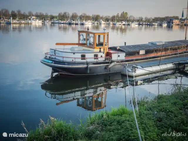 Location de Vacances Pays-Bas, Limbourg, Stevensweert, maison de vacances - Porte Isola 183 Meuse à Wessem