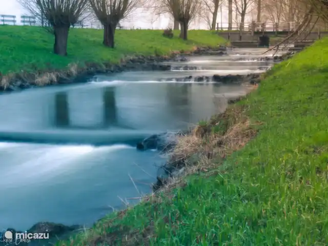Location de Vacances Pays-Bas, Limbourg, Stevensweert, maison de vacances - Porte Isola 183 Piège à eau Linne