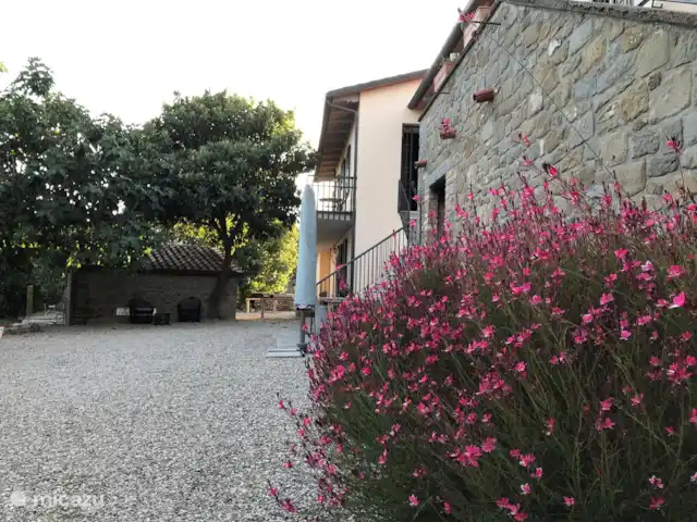 Villa Roccaccia - Tutte le Due | Italie, Ombrie, Tuoro sul Trasimeno - appartement Jardin devant la maison