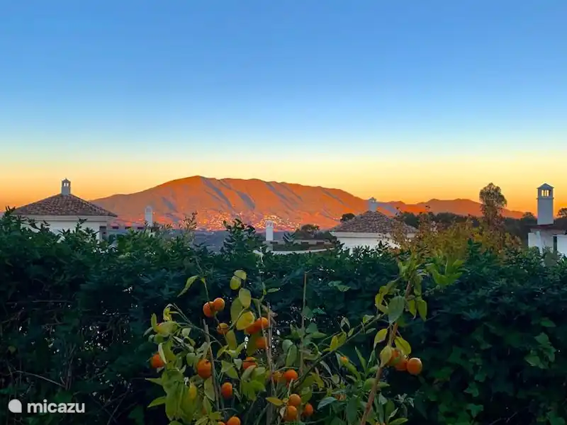 Oak Hill Boutique Resort Elviria  | Espagne, Costa del Sol, Marbella Elviria - Appartement Oak Hill Boutique Resort Elviria  | Espagne, Costa del Sol, Marbella Elviria - Appartement