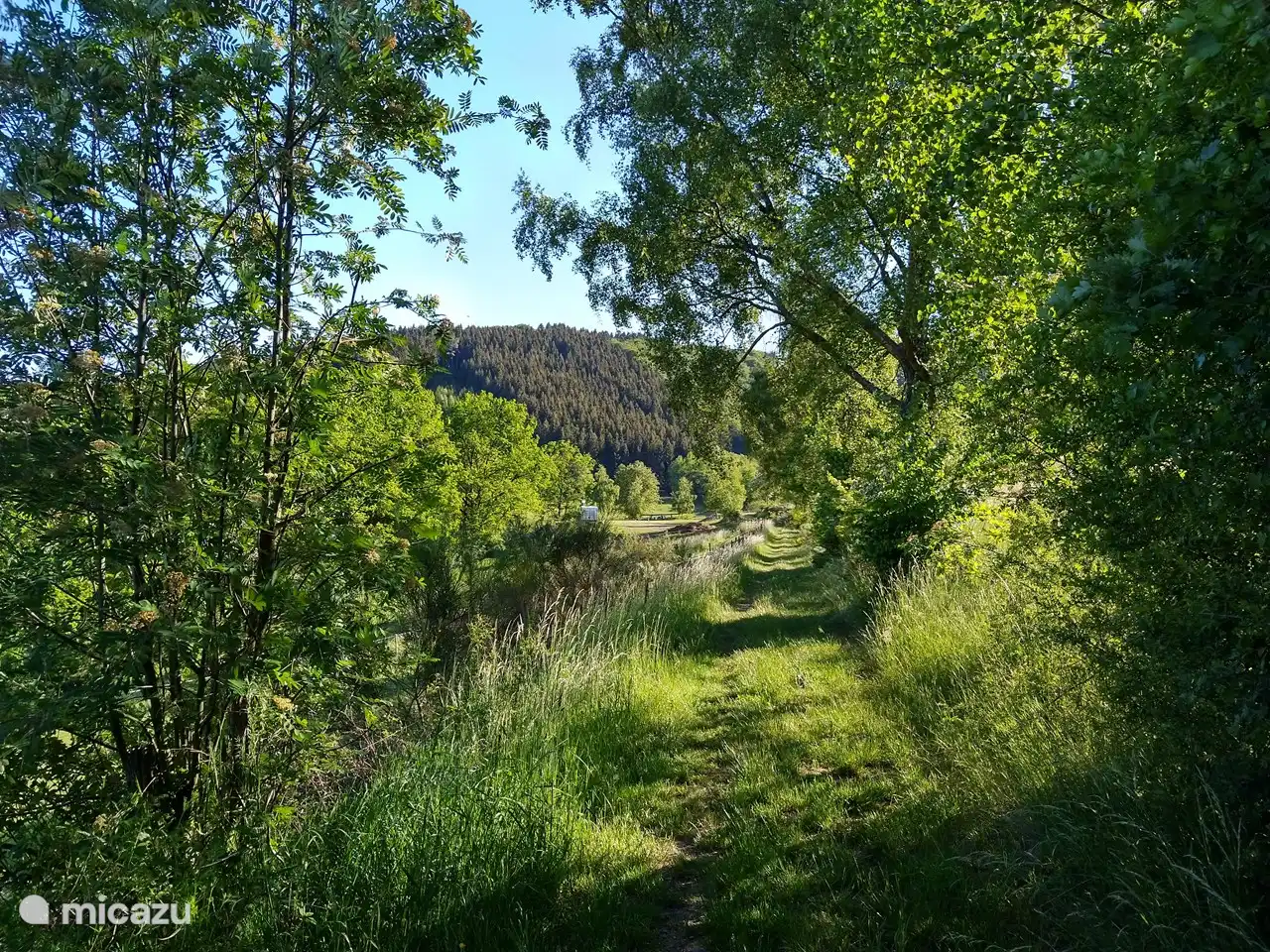 Die Wanderwege gehen direkt vom Garten aus