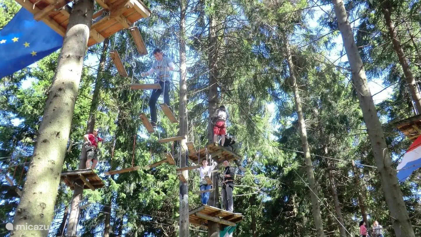 In Winterberg gibt es viel zu erleben, wie Kletterwald, Rodelbahn, Zipline, Panoramabrücke etc.