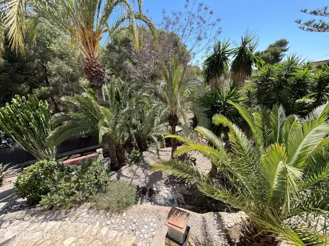 Le rouge-gorge | Espagne, Costa Blanca, Benissa - villa Jardin tropical