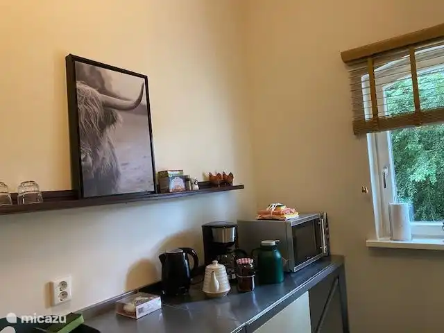 Location de Vacances Pays-Bas, Drenthe, Tynaarlo, chambres d'hôtes - Remise de Villadelfia idem